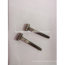 stainless steel T type bolt with nonstandard head